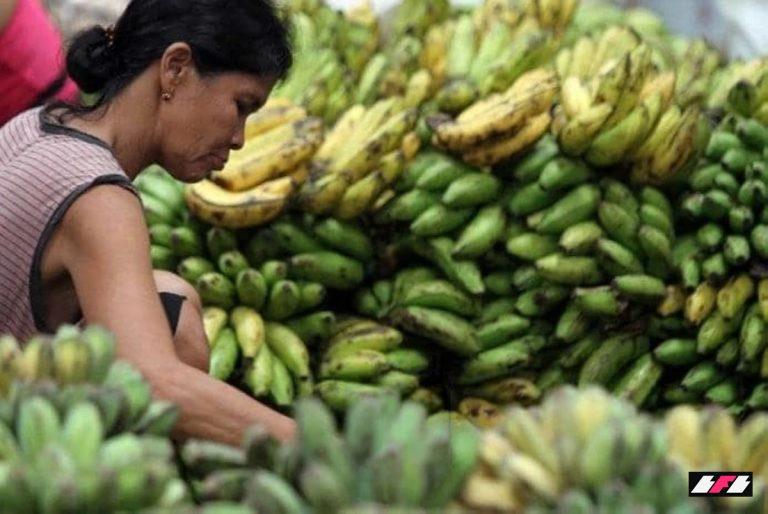 Keon Ellis Trends in Philippine Gaming Finance Analysis