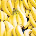 2_2026-02-01_18-40-492