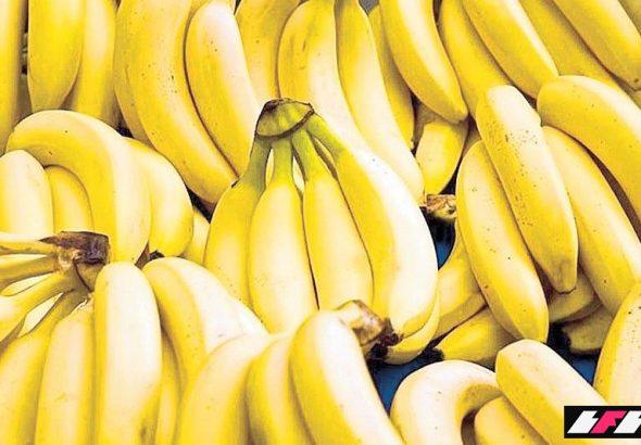 2_2026-02-01_18-40-492