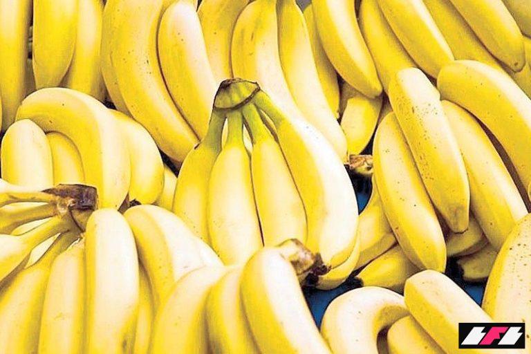 2_2026-02-01_18-40-492